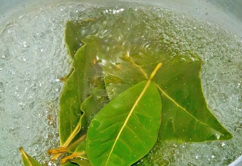 Una decocción de la hoja de laurel